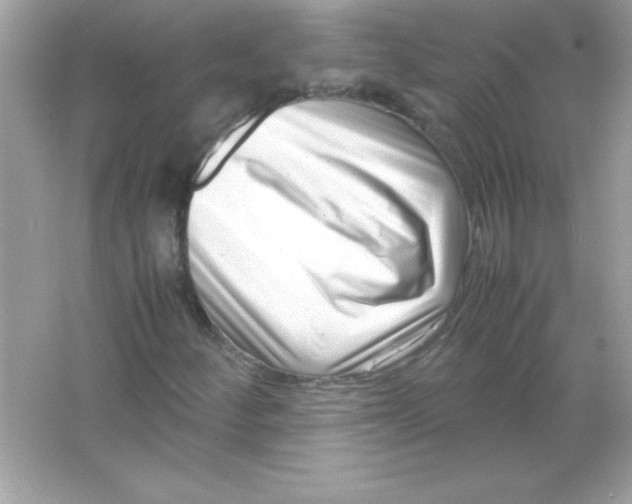 X0000065251252200603172155