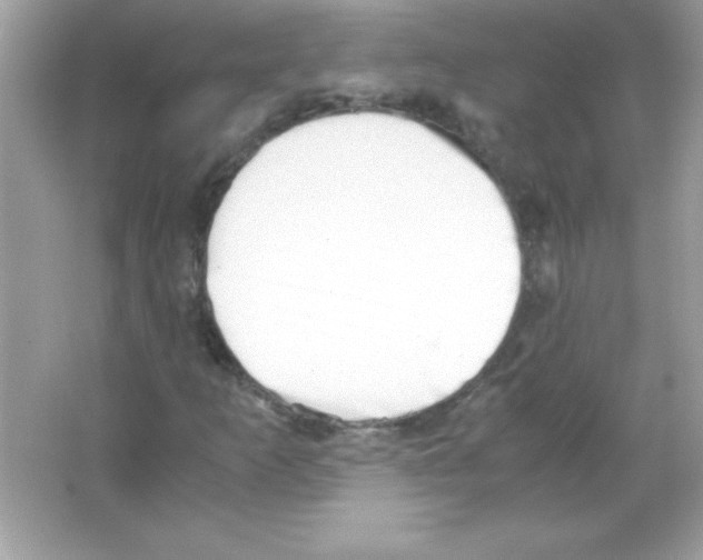 X0000065251253200603172155