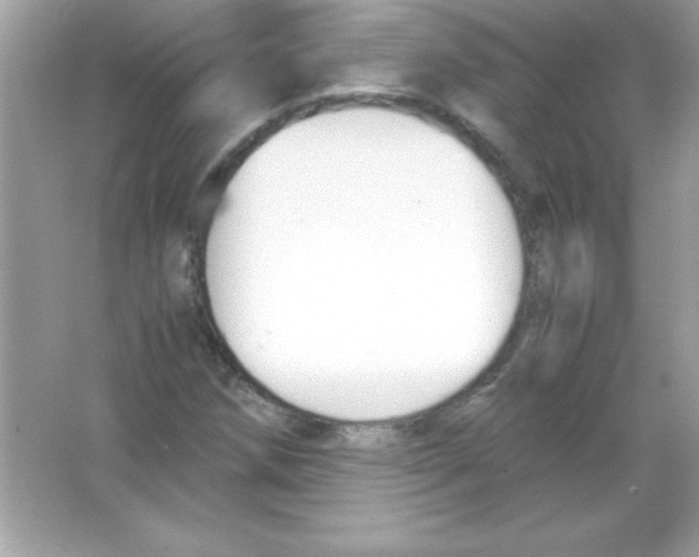 X0000065251258200603172155