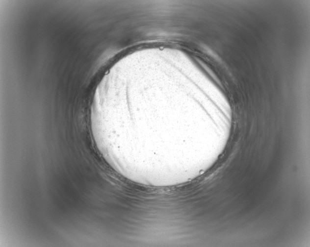 X0000065251259200603172155