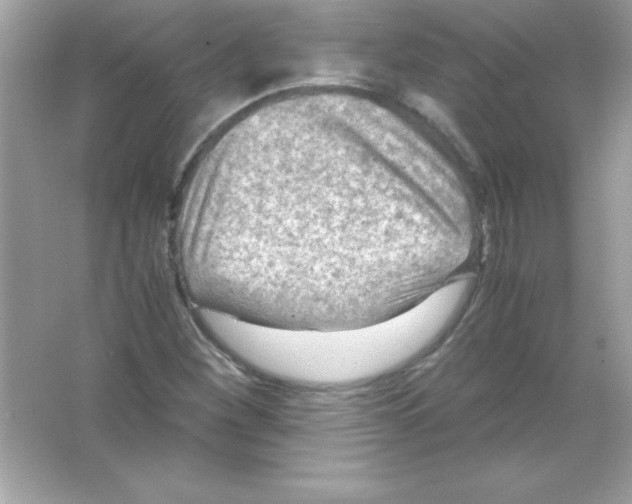 X0000065251260200603172155