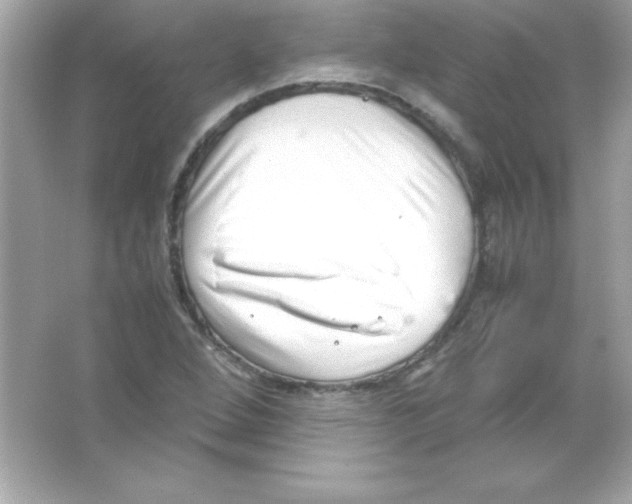 X0000065251264200603172155