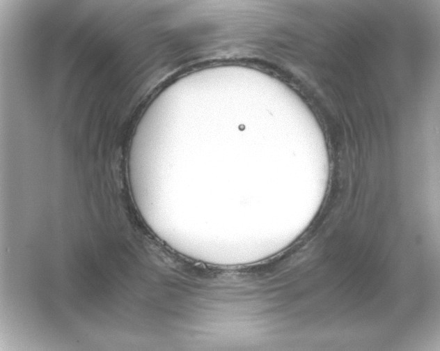 X0000065251265200603172155