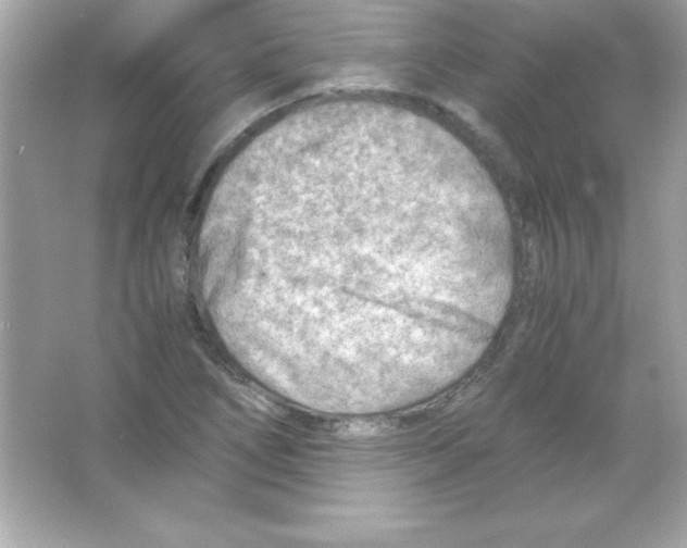 X0000065251266200603172155