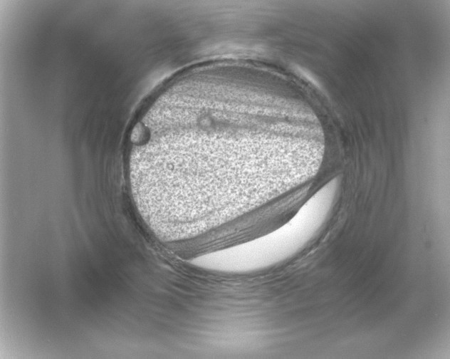 X0000065251267200603172155