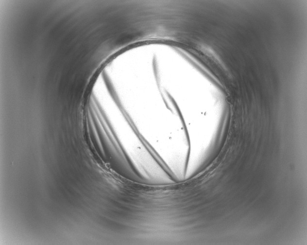 X0000065251268200603172155