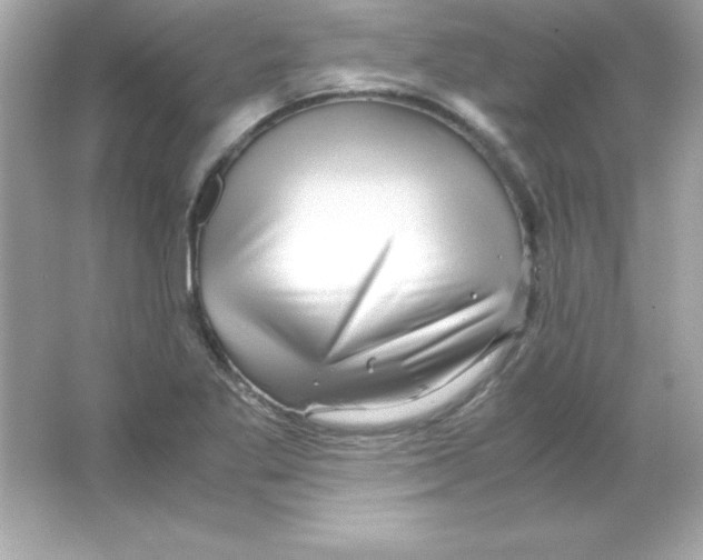 X0000065251269200603172155