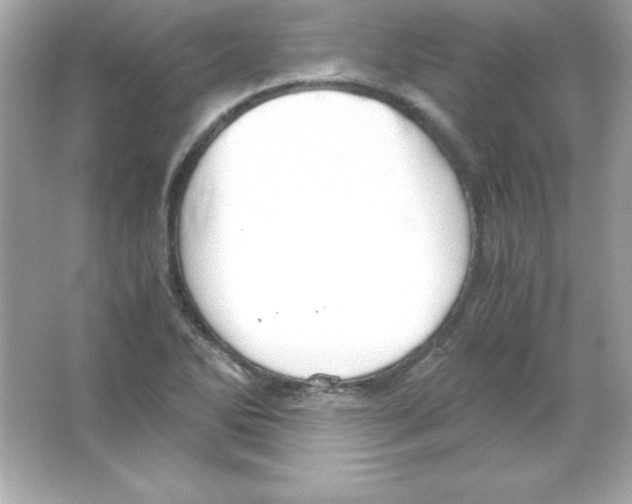 X0000065251270200603172155