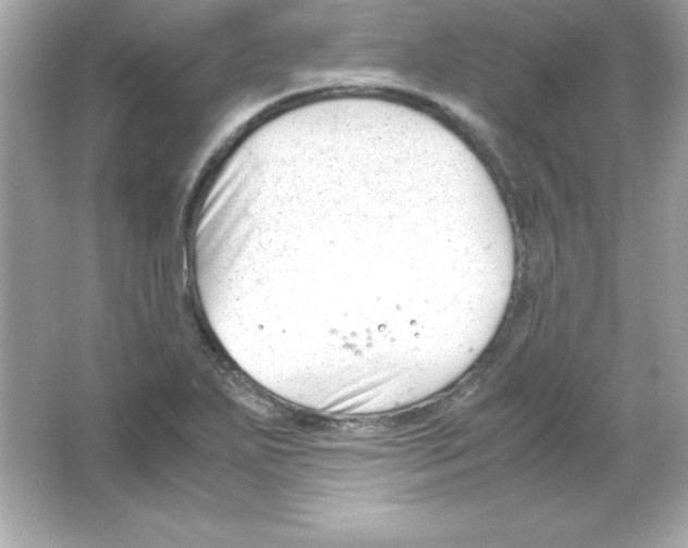 X0000065251271200603172155