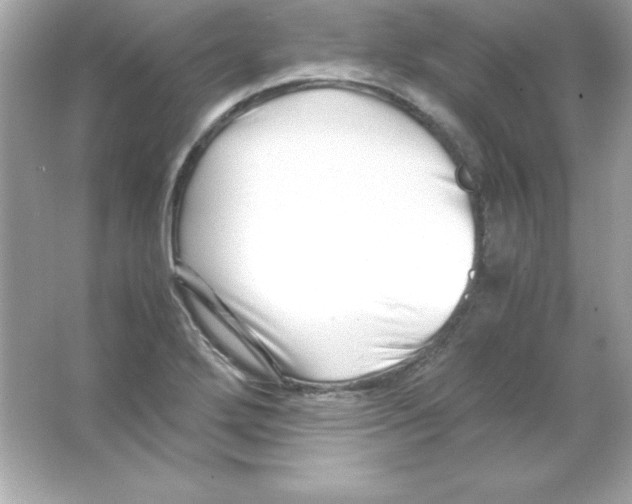 X0000065251272200603172155