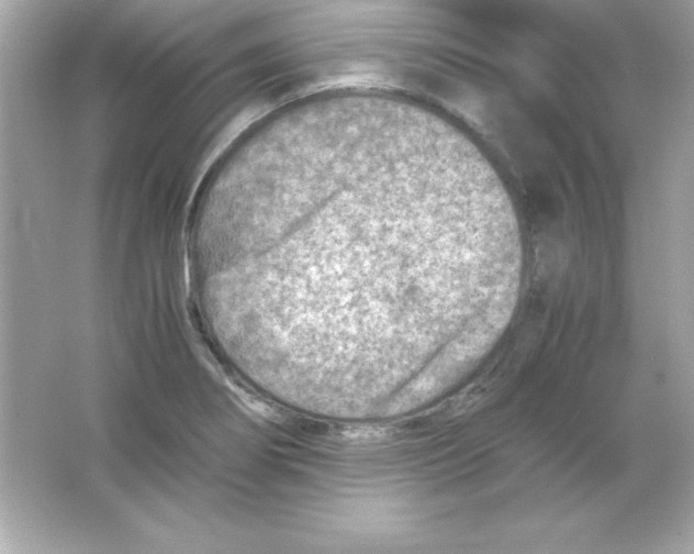 X0000065251274200603172155