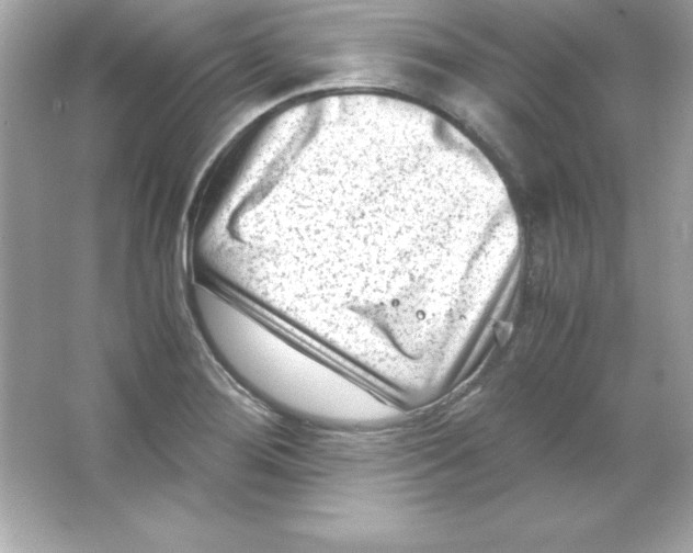 X0000065251276200603172155