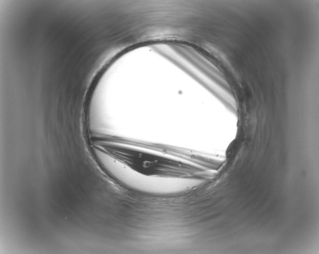 X0000065251277200603172155