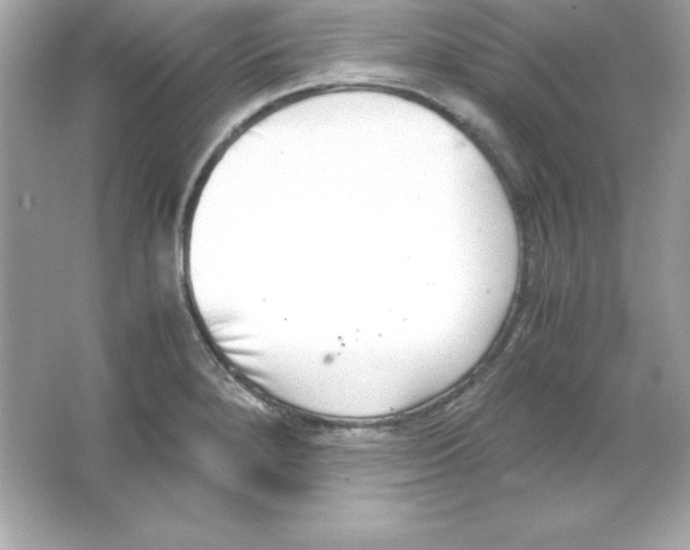 X0000065251280200603172155