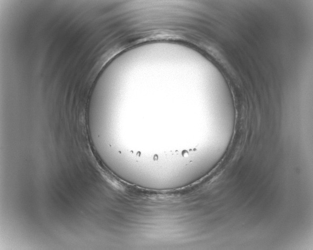 X0000065251281200603172155