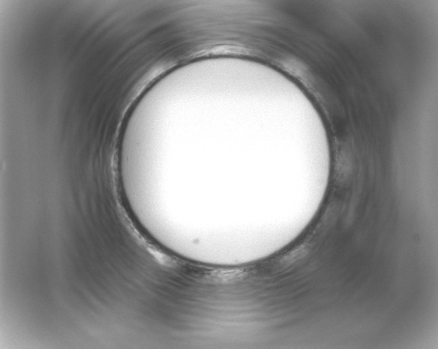 X0000065251282200603172154