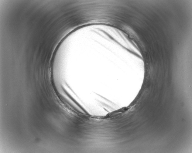 X0000065251284200603172154