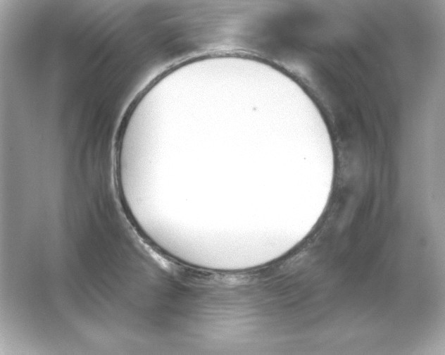 X0000065251286200603172154