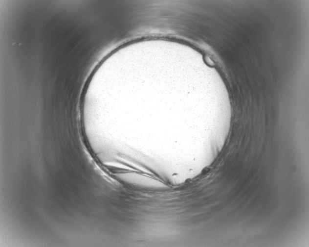 X0000065251287200603172154