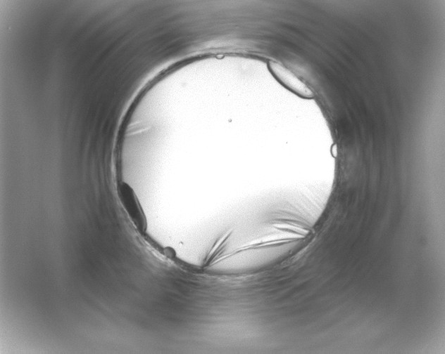 X0000065251288200603172154