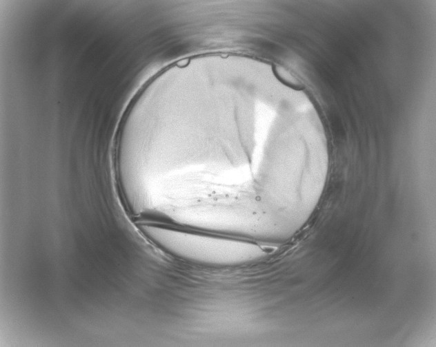 X0000065251291200603172154