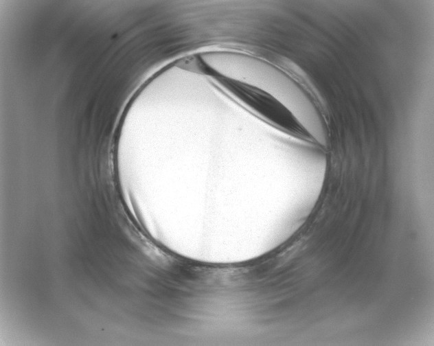 X0000065251292200603172154