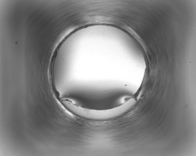 X0000065251293200603172154