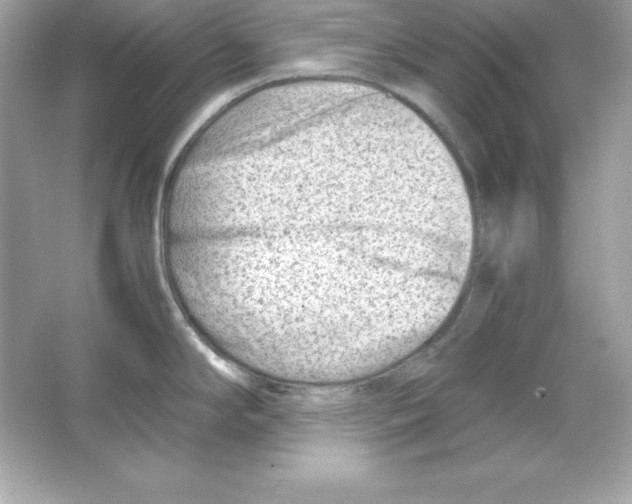 X0000065251294200603172154