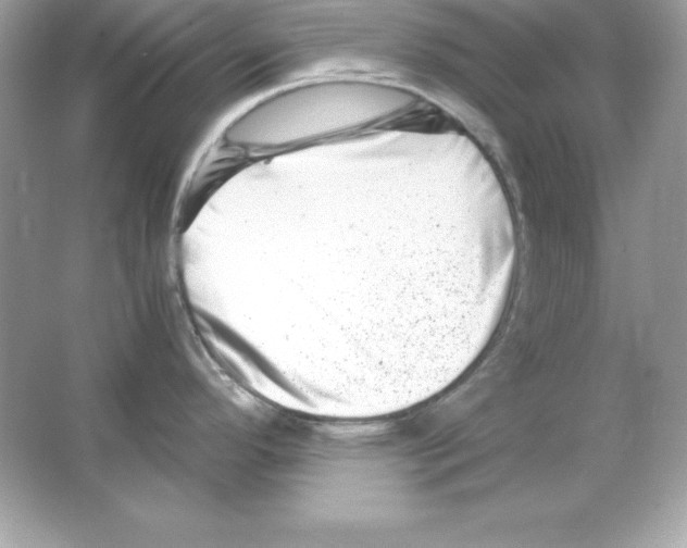 X0000065251296200603172154