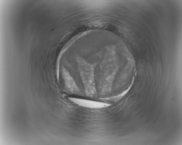 X0000065251297200603172153