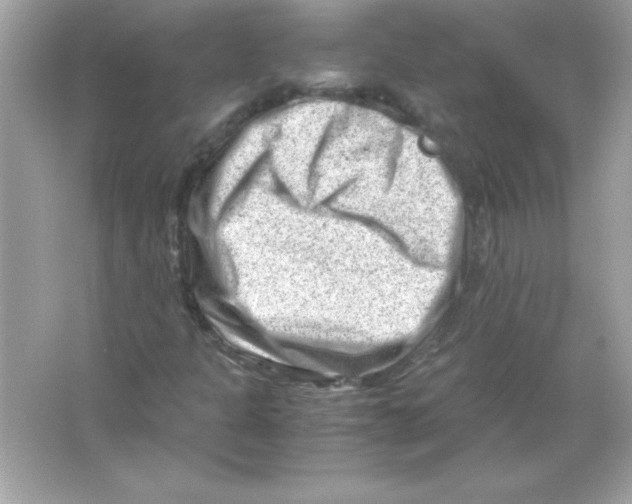 X0000065251301200603172154