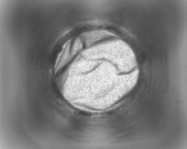 X0000065251302200603172154