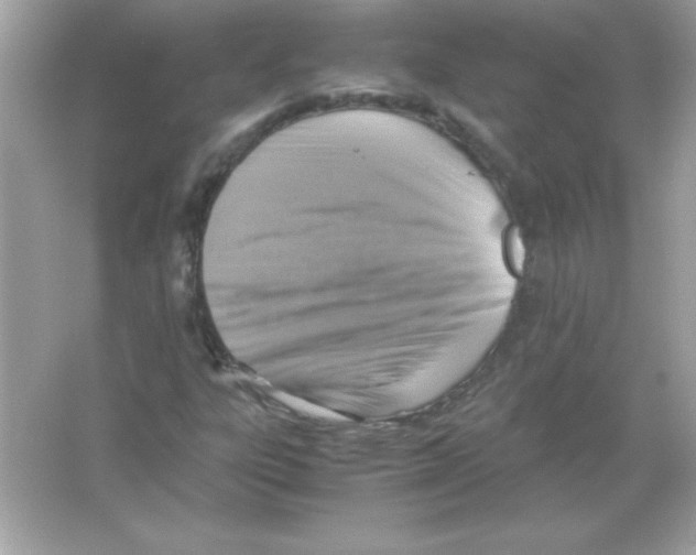 X0000065251303200603172154