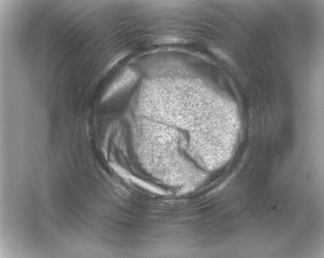 X0000065251305200603172154