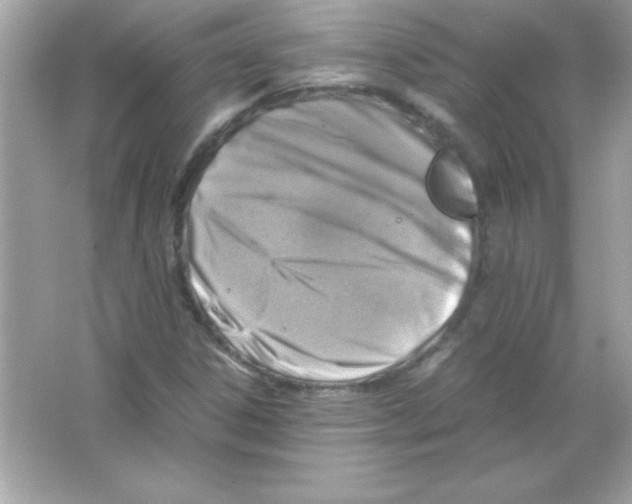 X0000065251306200603172154