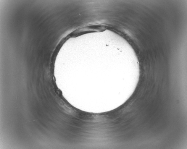 X0000065251308200603172154