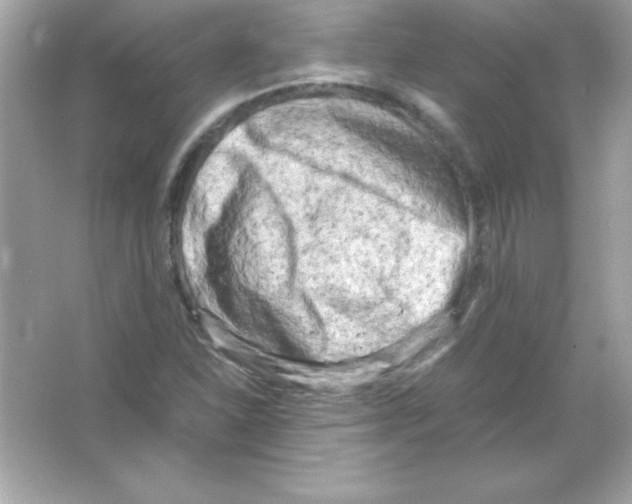 X0000065251310200603172154