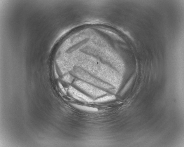 X0000065251311200603172154