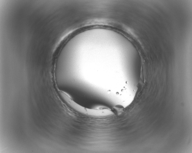 X0000065251312200603172154