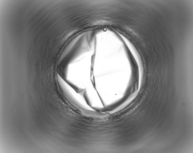 X0000065251313200603172154