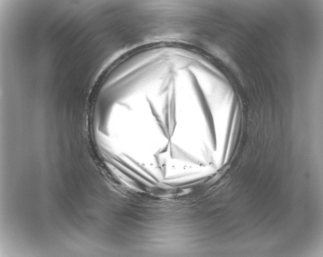 X0000065251316200603172154