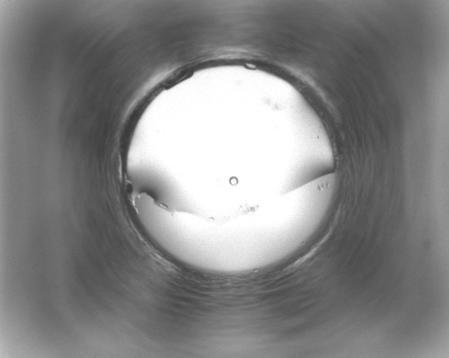 X0000065251317200603172154