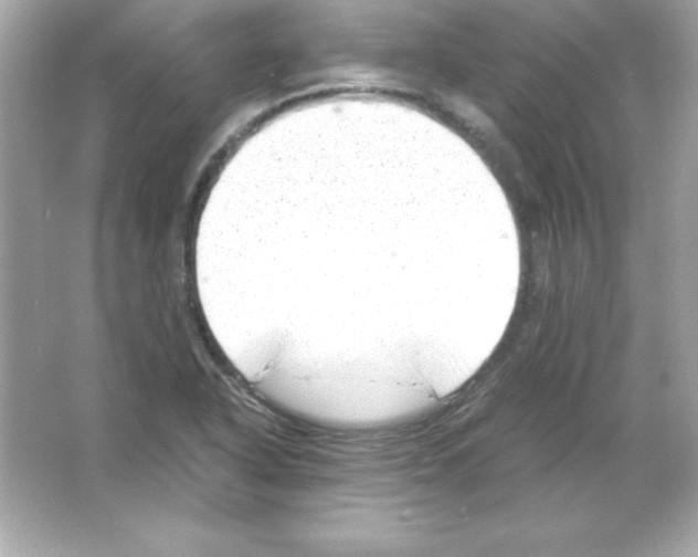 X0000065251318200603172154