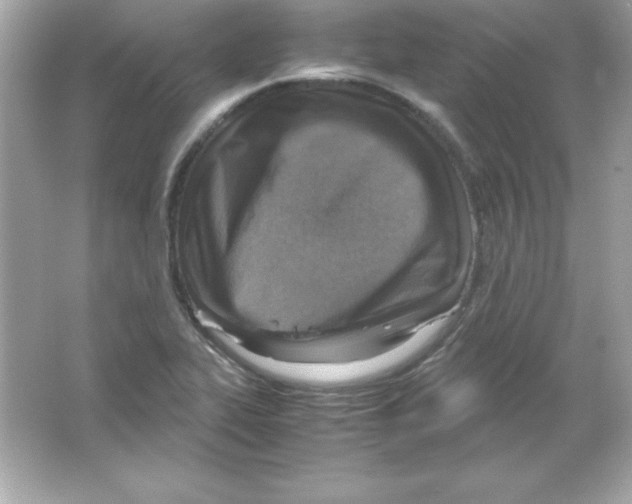 X0000065251319200603172154