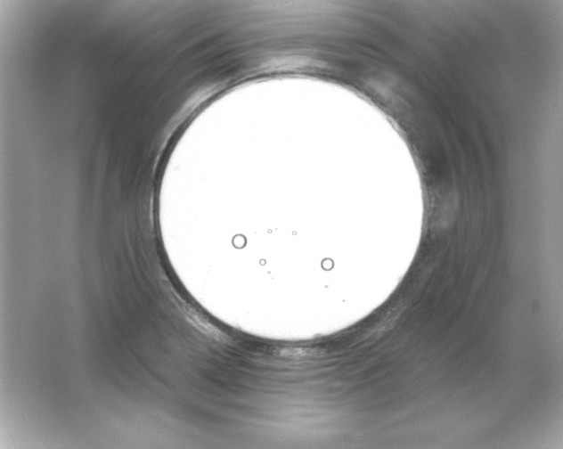 X0000065251322200603172154