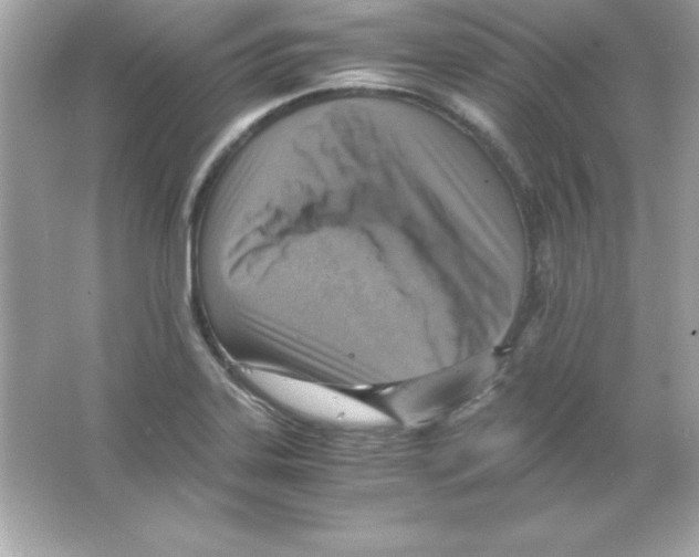 X0000065251323200603172154