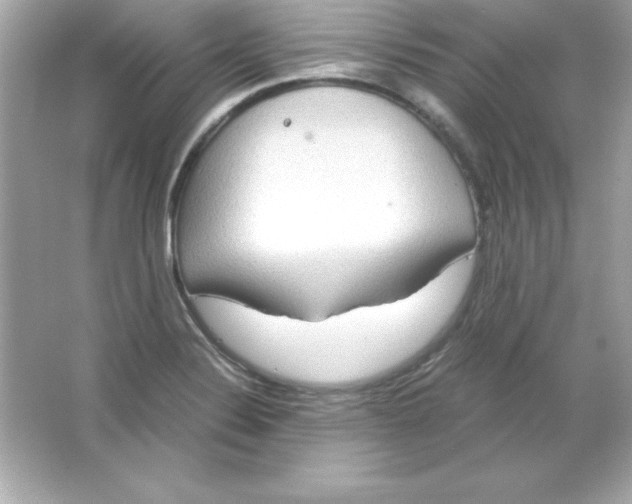 X0000065251324200603172154