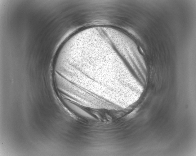 X0000065251325200603172154