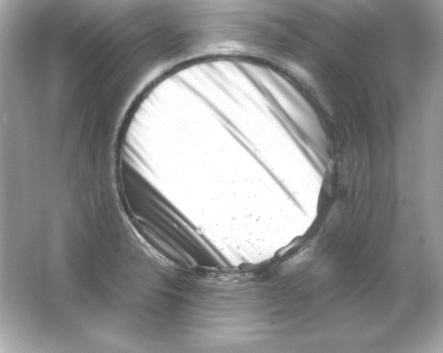 X0000065251326200603172154