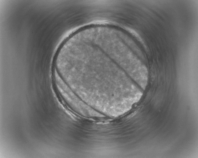 X0000065251327200603172154